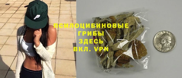 сатива Белокуриха