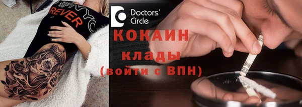 прущий лед Богданович