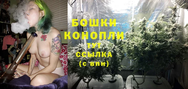 прущий лед Богданович